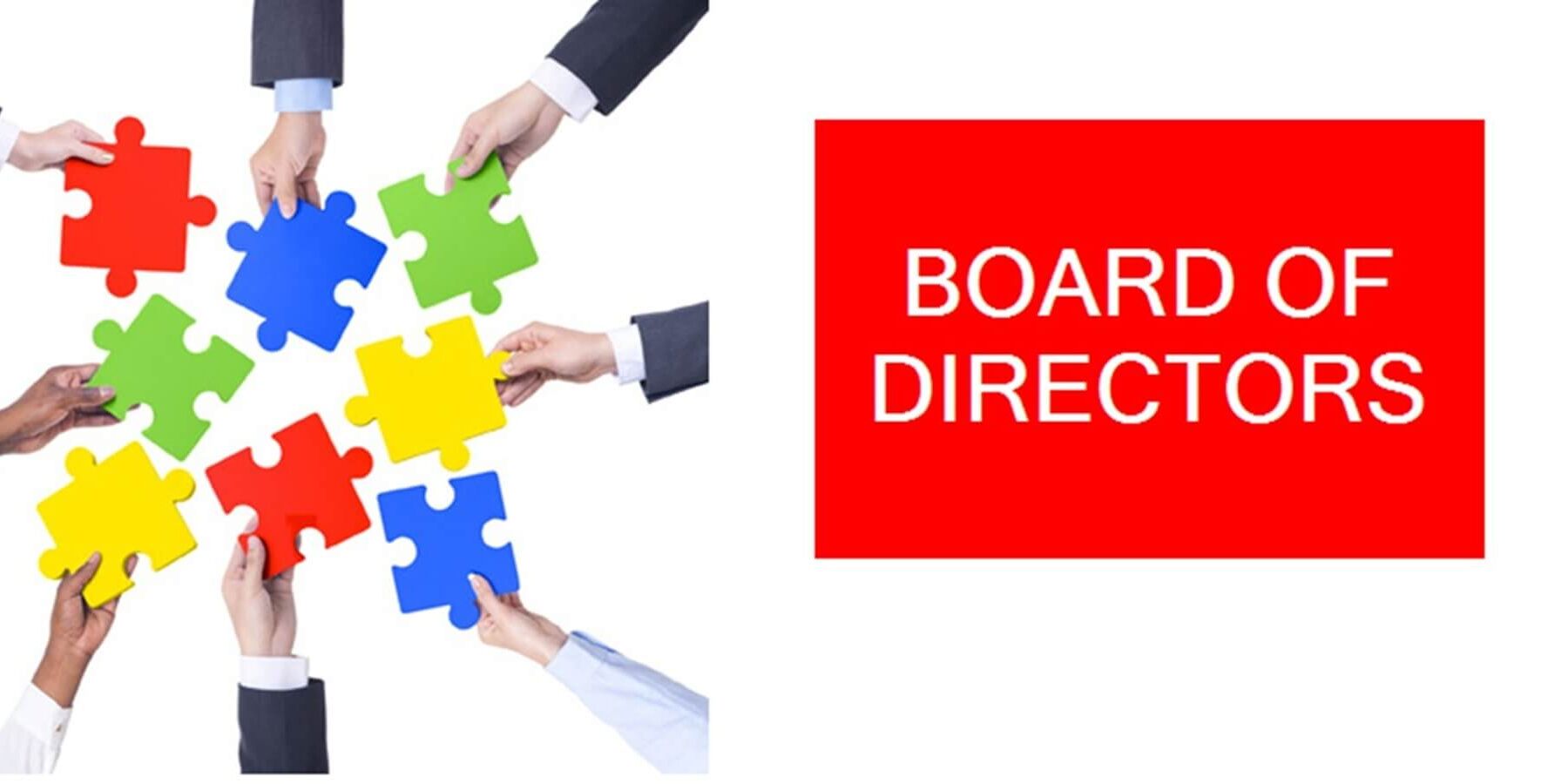Board of Director Board of Director